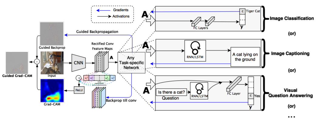 grad_cam_overview